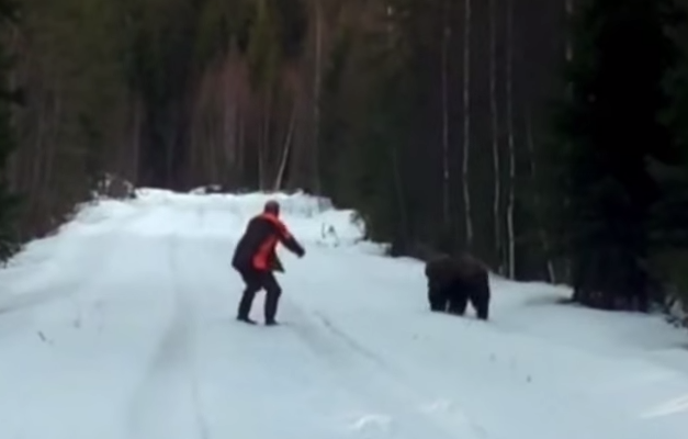 El peligroso gesto con el que un cazador ahuyentó a un oso pardo