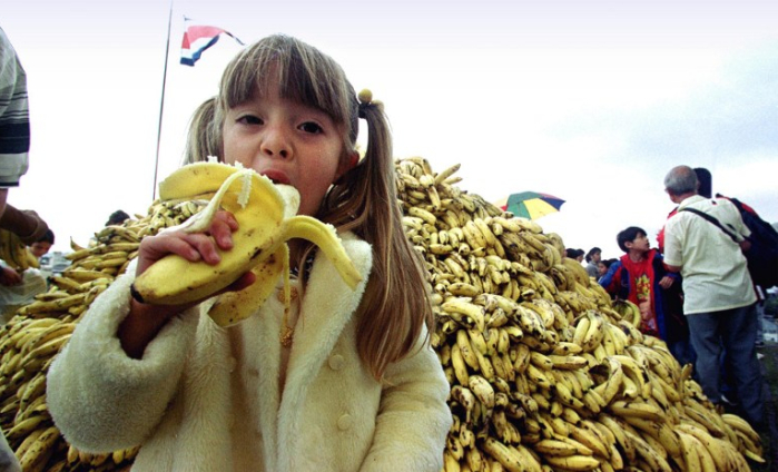 El aterrador “bicharraco” que salió del interior de un plátano: Una repulsiva araña
