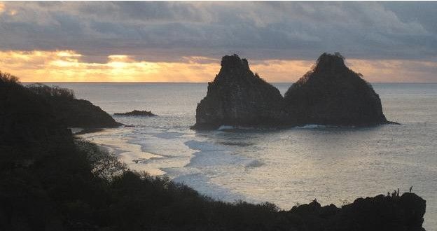 La paradisíaca isla brasileña que fue invadida por sapos con deformidades