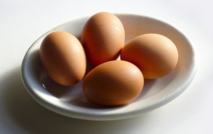 El insólito reptil que una pareja pilló en la cocina devorando sus huevos