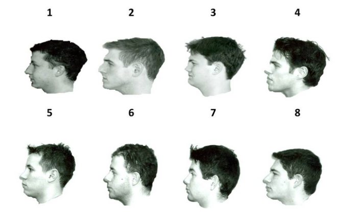 ¿Tienes buena memoria? Ponte a prueba con el test de reconocimiento facial