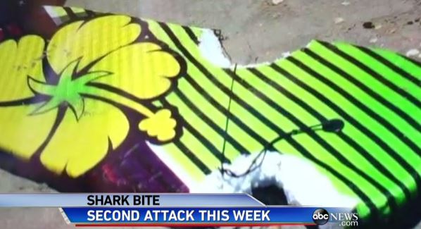 Las crudas fotos que dejó el ataque de tiburones a dos adolescentes en EEUU