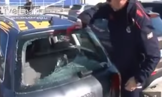 Video muestra la agonía de un perro olvidado en el auto por sus dueños