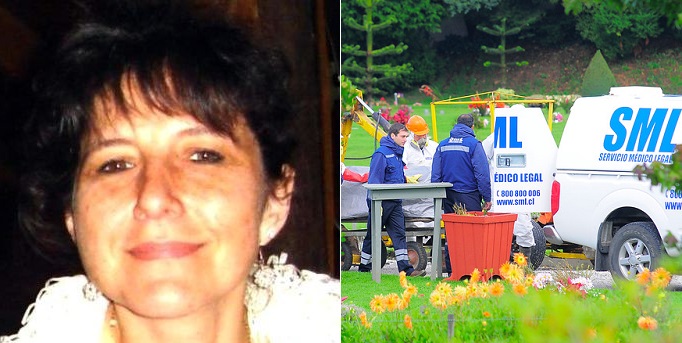 Revelan supuesto móvil tras el asesinato de Viviana Haeger: El robo de videograbadora