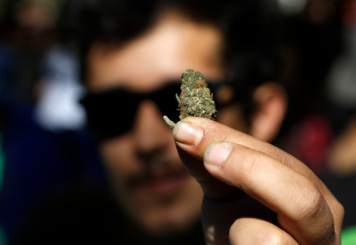 Senda da a conocer las regiones que registran más consumo de marihuana