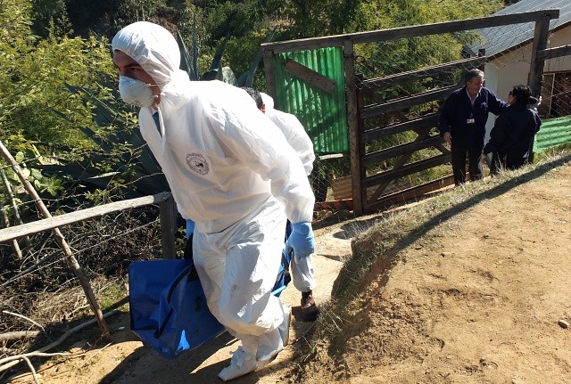 Encuentran cadáver de un hombre en Limache: fue devorado por sus 12 perros