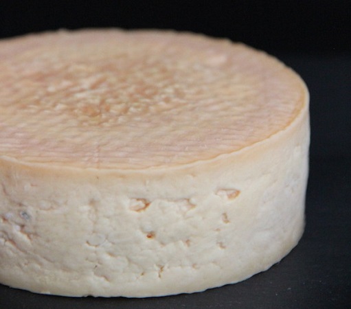 Christina Agapakis | agapakis.com