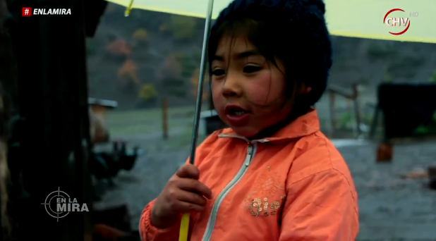 Tuiteros desconsolados tras crudo reportaje de 