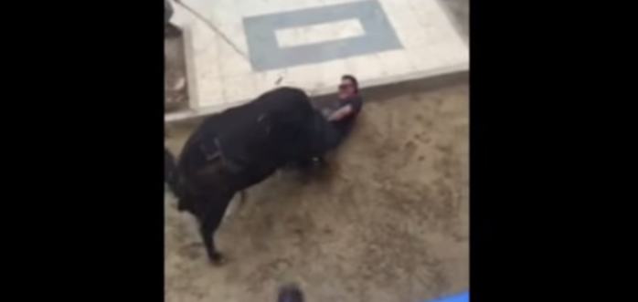 Hombre falleció tras recibir reiteradas cornadas de un toro en España