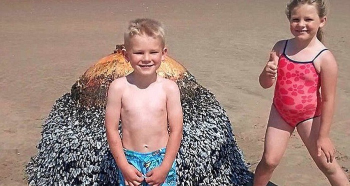 Estos niños creían posar junto a una boya: Resultó ser algo muy aterrador