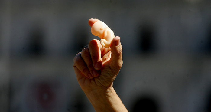 Tuiteros trollean a senadora van Rysselberghe: Confundió 