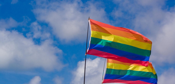 “¿Cómo puedo curar a mi hijo gay?”: La pregunta que despertó la polémica en Reddit