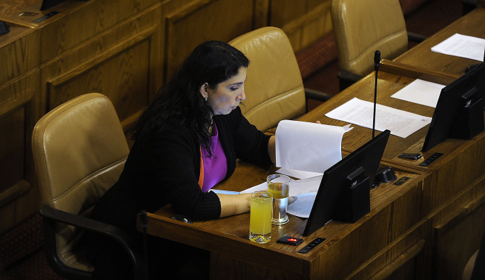 Presentan proyecto de ley para sancionar disfraces eróticos de “colegialas”