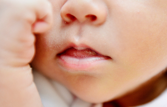 Polémica por presa italiana a la que le quitaron su bebé apenas nació: Buscan adopción