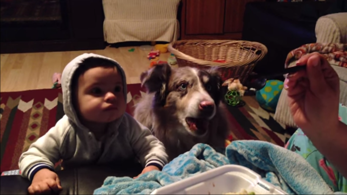 Pareja queda boquiabierta al escuchar a su perro decir 