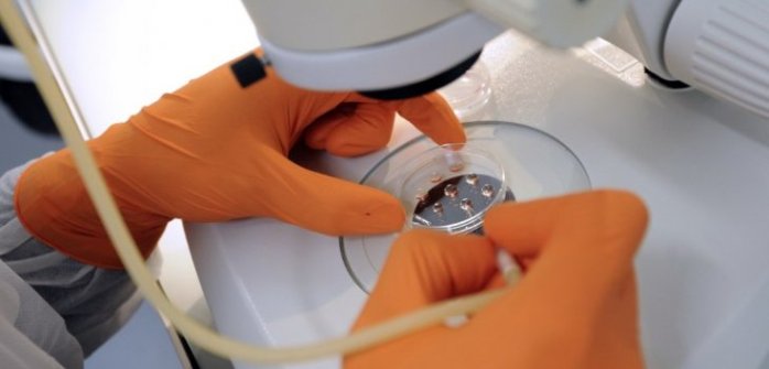 Nueva terapia anticancerígena ataca exitosamente la leucemia: Así funciona