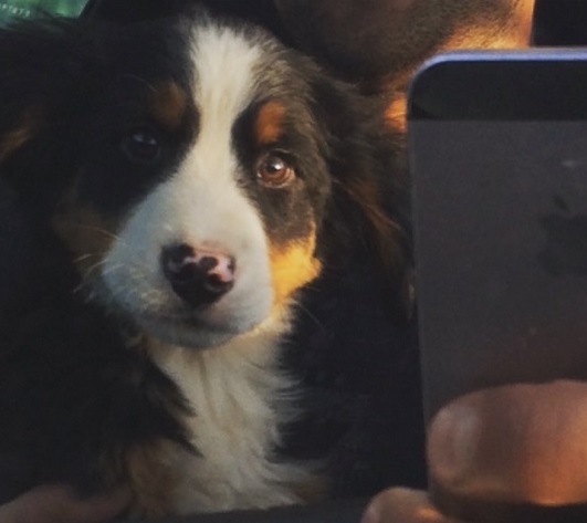 Álvaro Gómez | Instagram