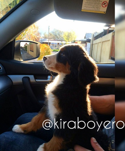 Francini Amaral | Instagram