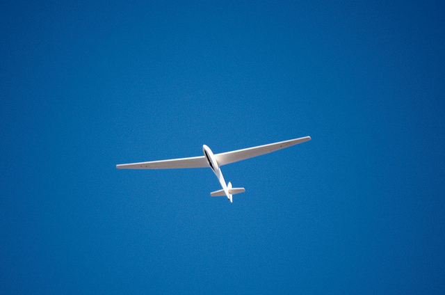 Envío aéreo de 12 kilos destruyó la casa de un perro en EEUU: Era marihuana