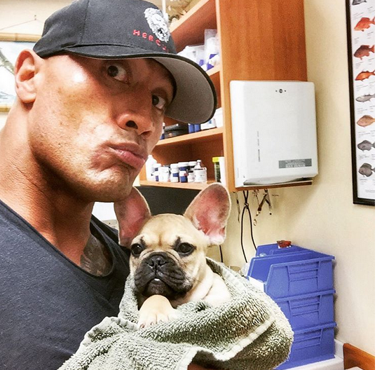 The Rock | Instagram