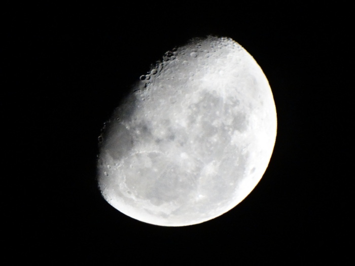 Astrónomos entregan consejos para observar Eclipse y Súper Luna este domingo