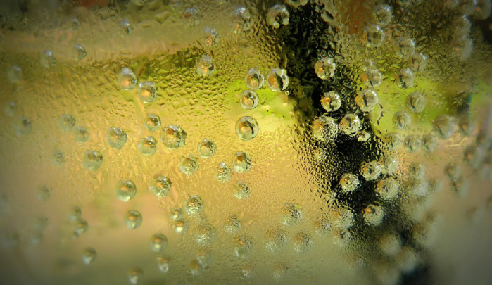 ¿Un alien? La asquerosa criatura que encontró una mujer en una caja de jugo