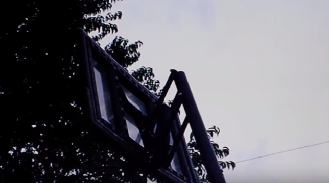 YouTube: Niño grabó a supuesto 