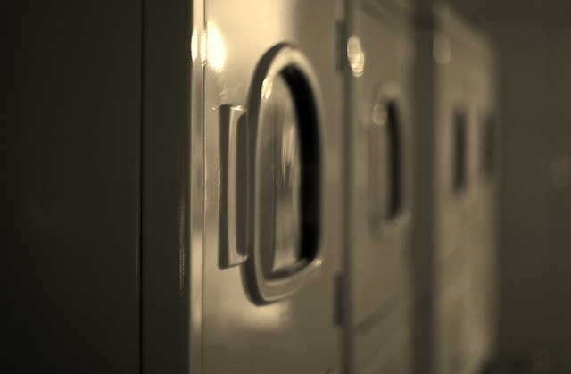 La espeluznante criatura que una mujer norteamericana encontró en su secadora