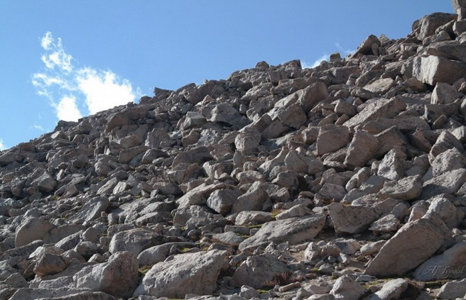 Sólo para observadores ágiles: ¿Dónde está el corderito en esta imagen?