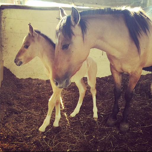 María de los Ángeles | Instagram