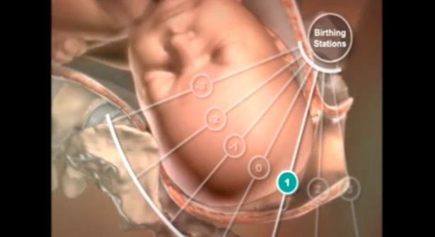 Pregnancy Videos | Facebook