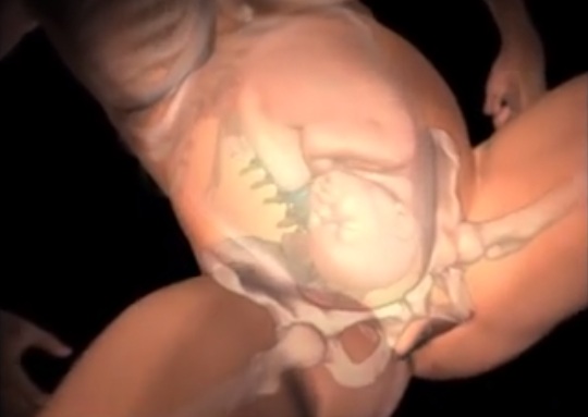 Pregnancy Videos | Facebook