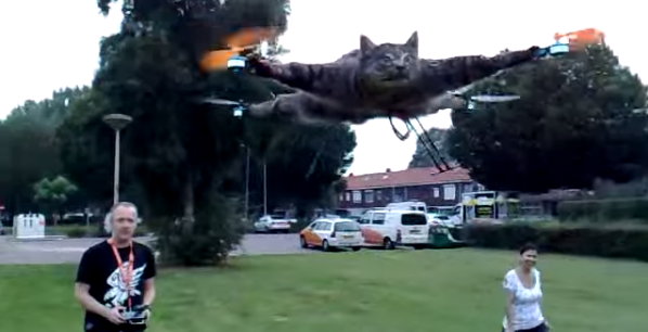 Polémico artista holandés promete hacer volar una vaca muerta