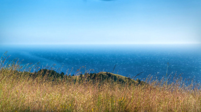 Nutscaping: La nueva moda de capturar bellos paisajes junto a tus testículos