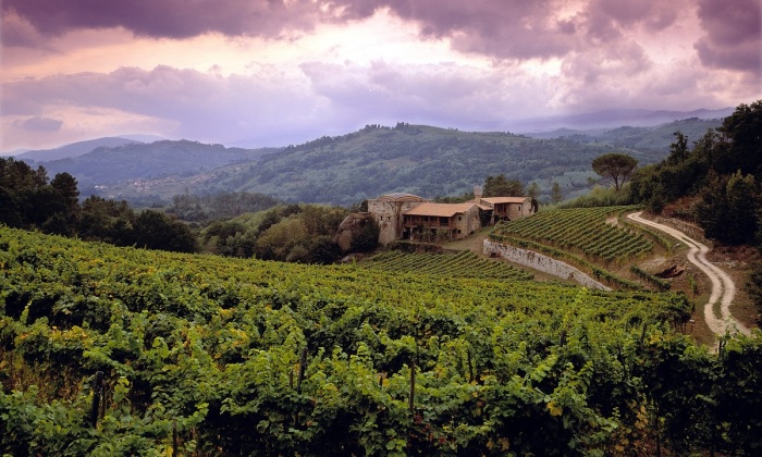 Promocionan fiesta culinaria como 