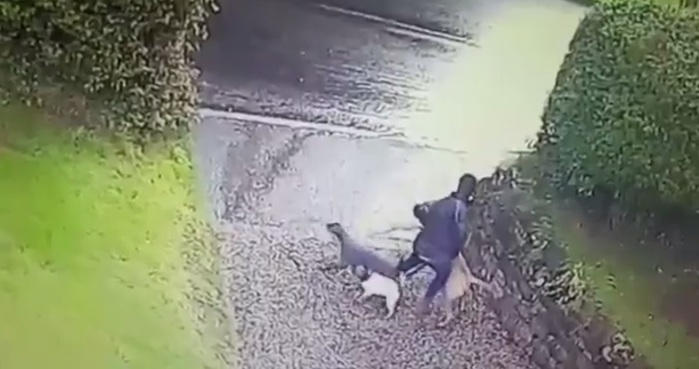 El hilarante video viral de una madre viviendo 