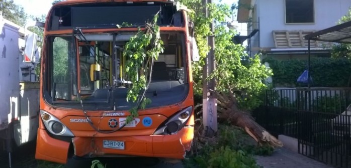 3 casas dañadas deja choque de bus contra árboles y poste en La Reina