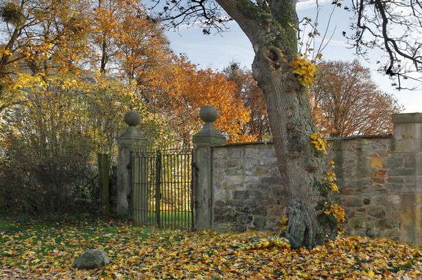 Tschiponnique Skupin