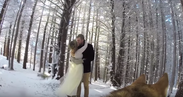 Dejaron a su perro a cargo de grabar su matrimonio: Este fue el resultado