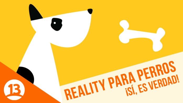 Perros y sus dueños, los protagonistas del nuevo reality de Canal 13