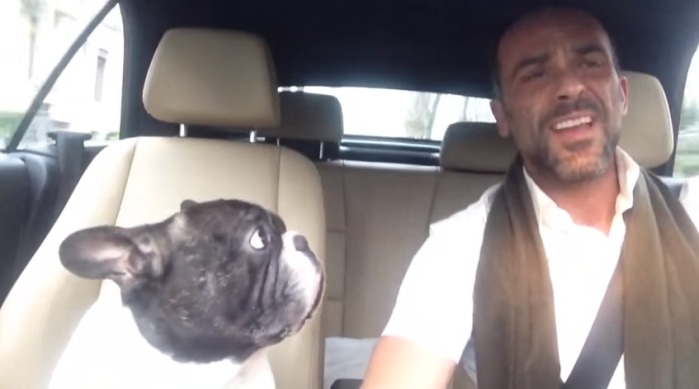 Talentoso perro que canta 