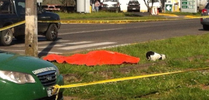 Encuentran muerto a joven en situación de calle en Osorno: su perro no se alejó del cuerpo