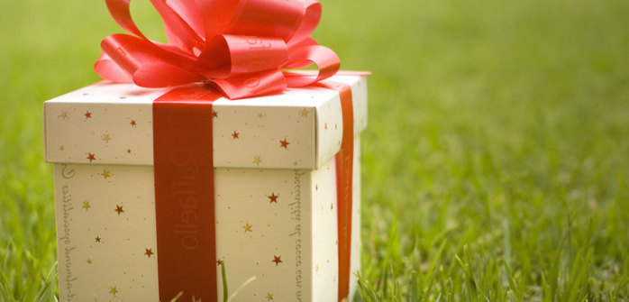 Malcriado niño se enfureció al no recibir el regalo correcto en Navidad