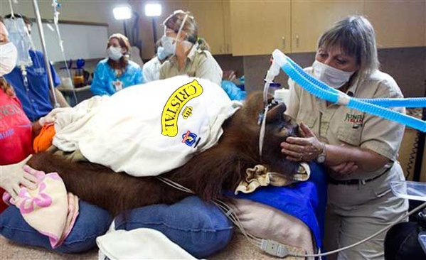 Copa Chile: Los mejores memes que dejó la victoria de U. de Chile ante Colo Colo