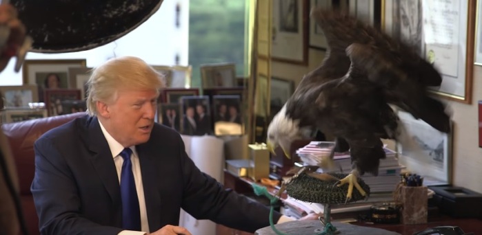 Revelan imágenes del ataque de un águila contra el polémico Donald Trump
