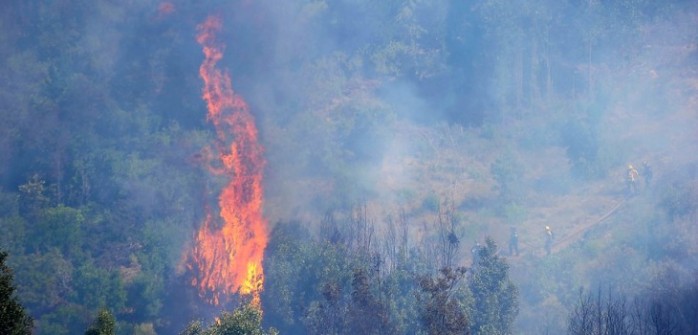 Controlan incendio forestal que mantuvo suspendido el tránsito en ruta Las Palmas