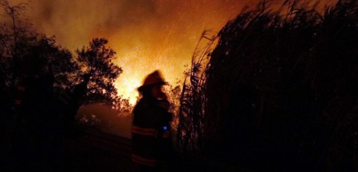 Conaf alerta de condiciones favorables para incendios forestales en seis regiones