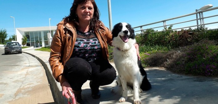 Oftalmólogo que agredió a asesora del hogar y perro en Reñaca no fue a conciliación