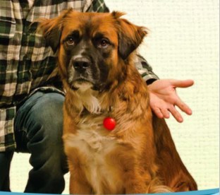 Yukon Health and Human Services