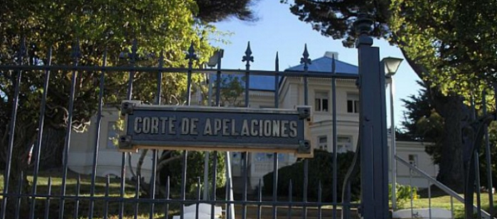 Anulan condena por ley Emilia: conductor habría huido de accidente por perseguir a su hijo